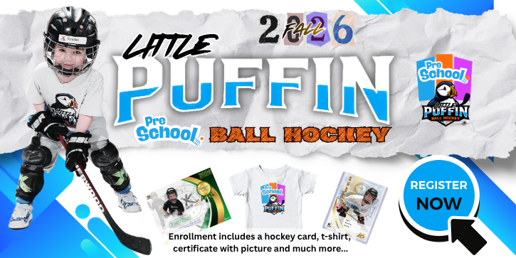 LITTLE PUFFIN PRESCHOOL